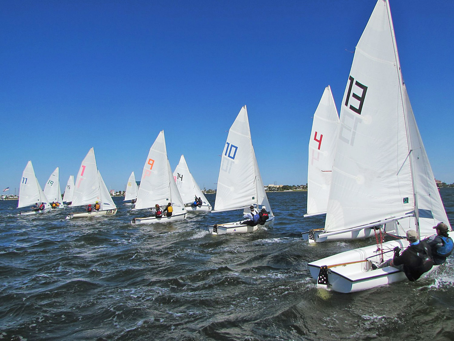 sailboat race galveston